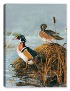 Ghost Lake Woodies - Canvas Wrap 