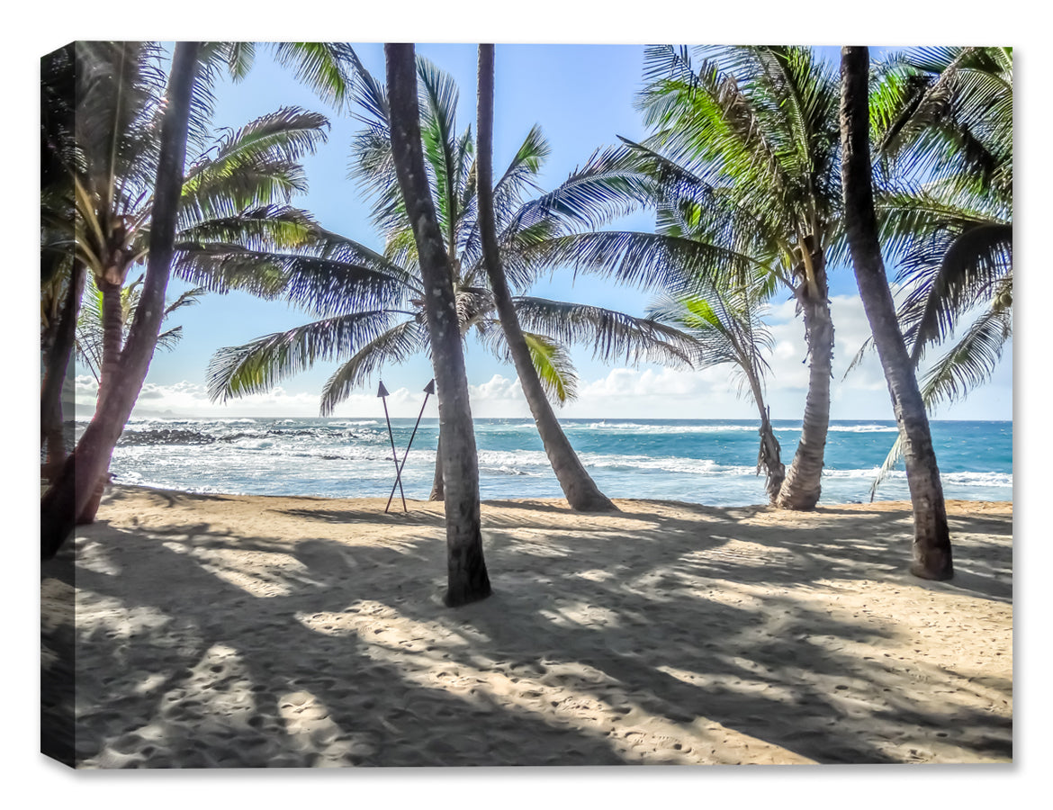 Grace Bay - Sand, Palms & Ocean