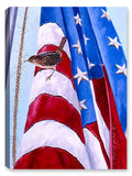 Home of the Free - Bird on Flag - Canvas Print