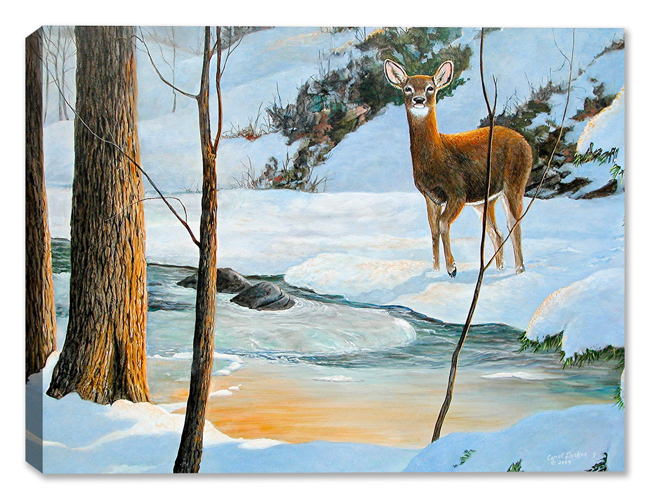 Icy Glow Doe - Painting by Carol Decker - Printed on Canvas. 
