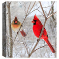 Photographic Image of 2 cardingals - Mr. & Ms. Cardinal - Fine Art Canvas Print