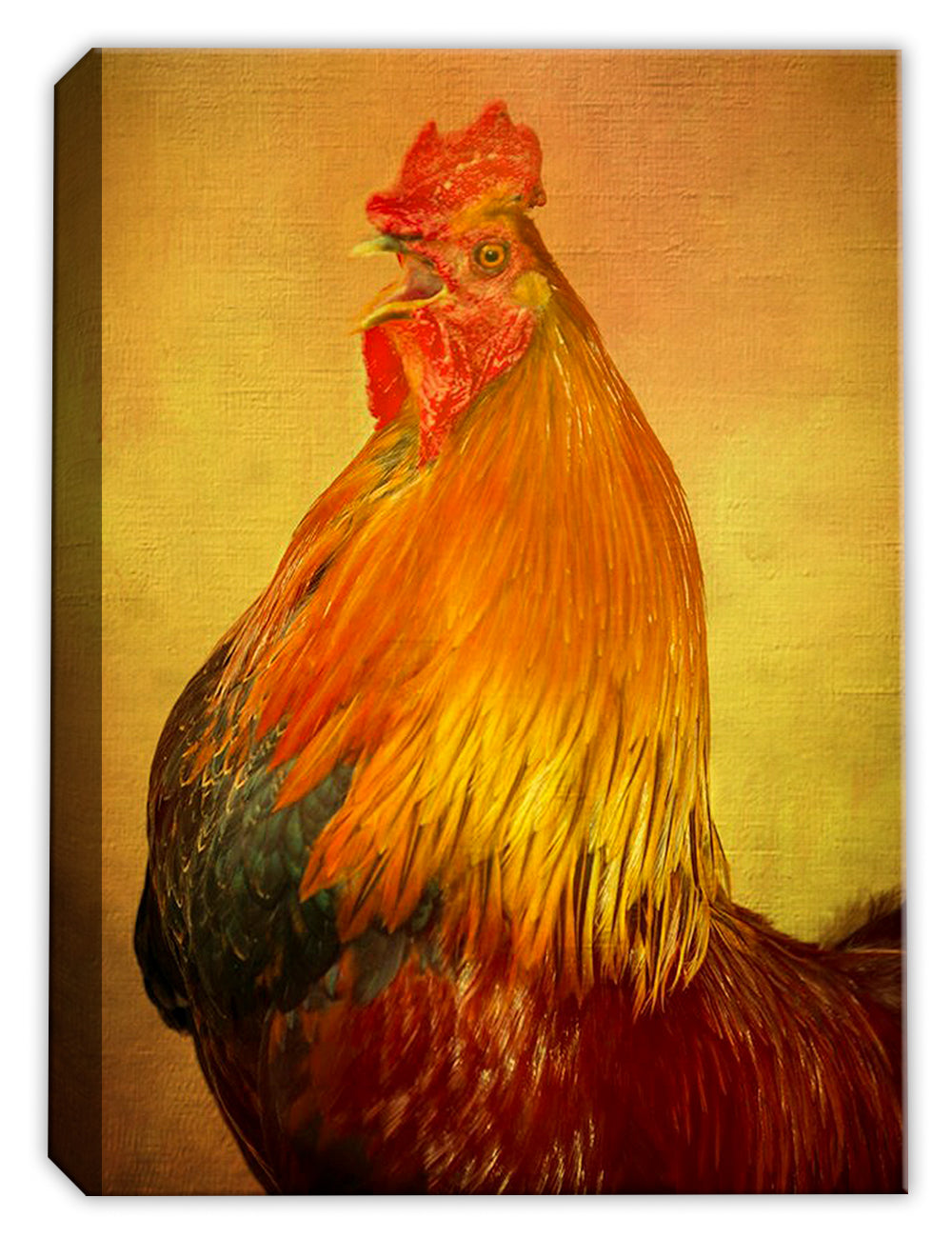 Oil Painting of a Proud Rooster - printed on waterproof canvas for outdoor use.