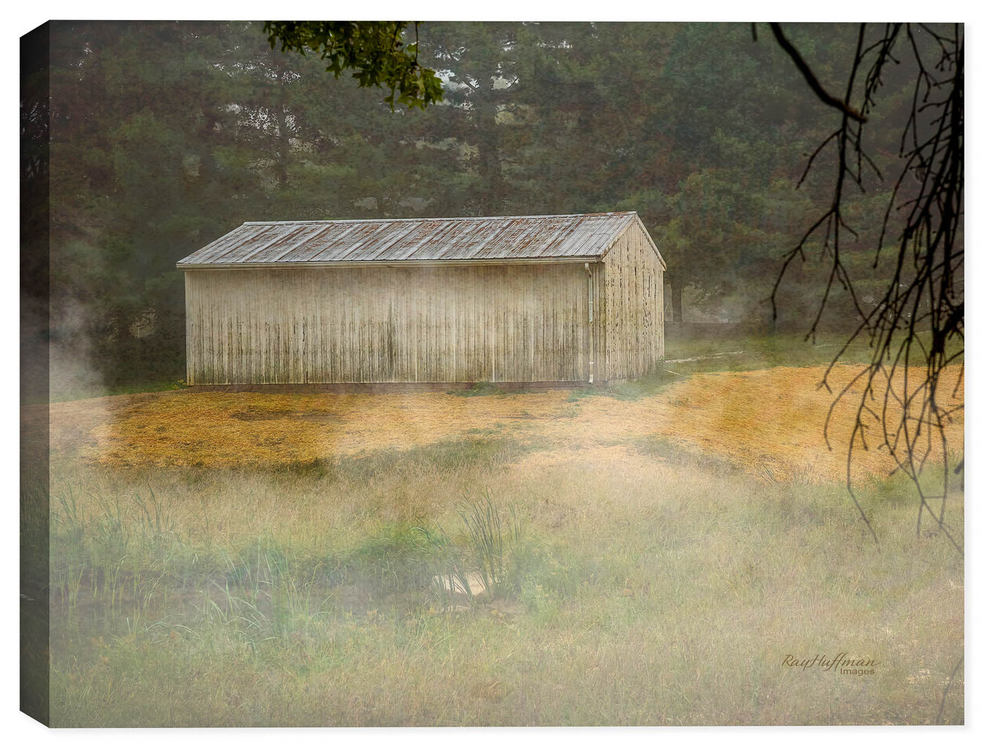 High Resolution Fine Art Photograph taken in the early morning fog