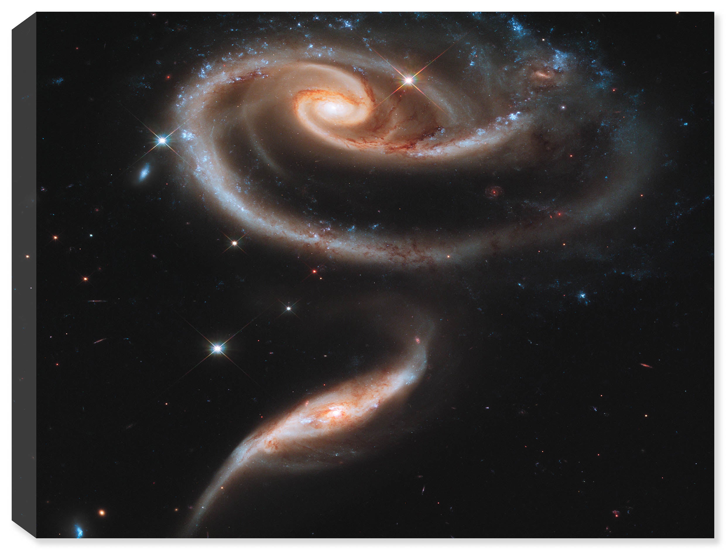 Photo of a Rose of Galaxies Space