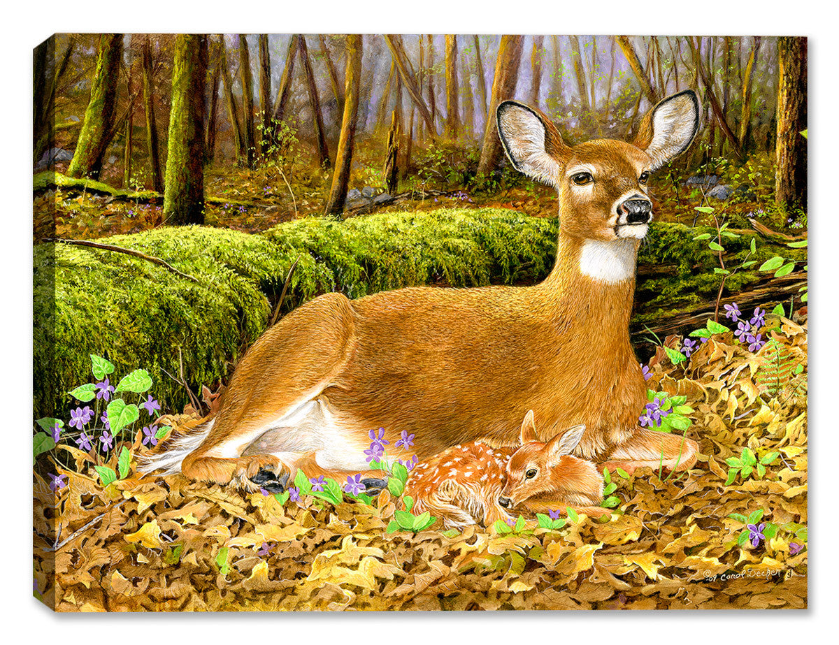Painting of a mother deer and her newborn foal printed on Waterproof Canvas.