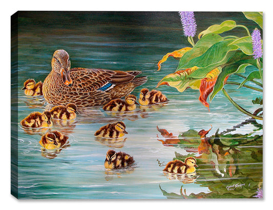 New Family Mallards by Carol Decker - Canvas Art Plus