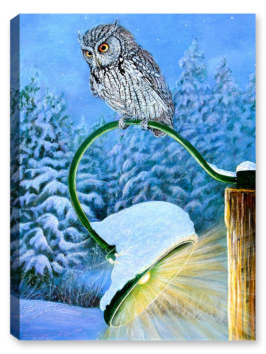 Night Light - Screech Owl - Canvas Art Plus
