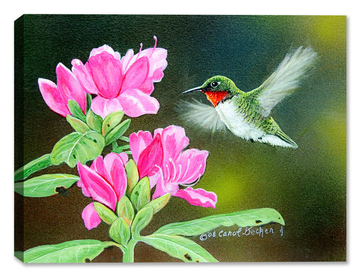 Painting of a Hummingbird  hovering of flowers - printed on Waterproof Canvas