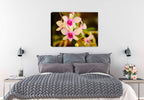 Fine Art Photography of an Orchid  printed on waterproof canvas. Hung on Bed Room Wall.