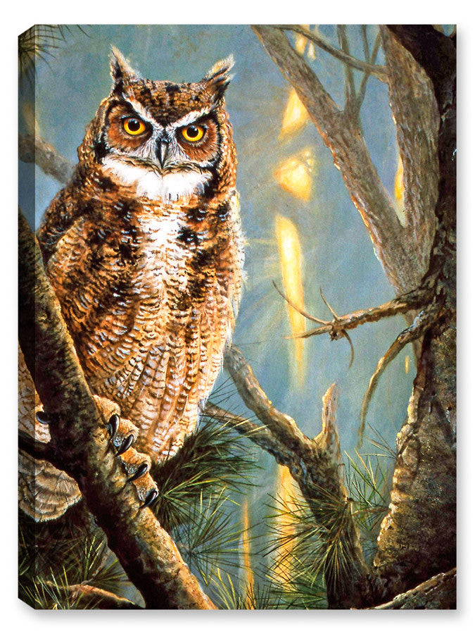 Owl Common Ground Painting printed on waterproof canvas 