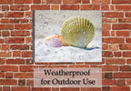 Image of Seashells sitting on sugar white sane.  Printed on waterproof canvas.  Hung on Brick Patio Wall in the Rain.