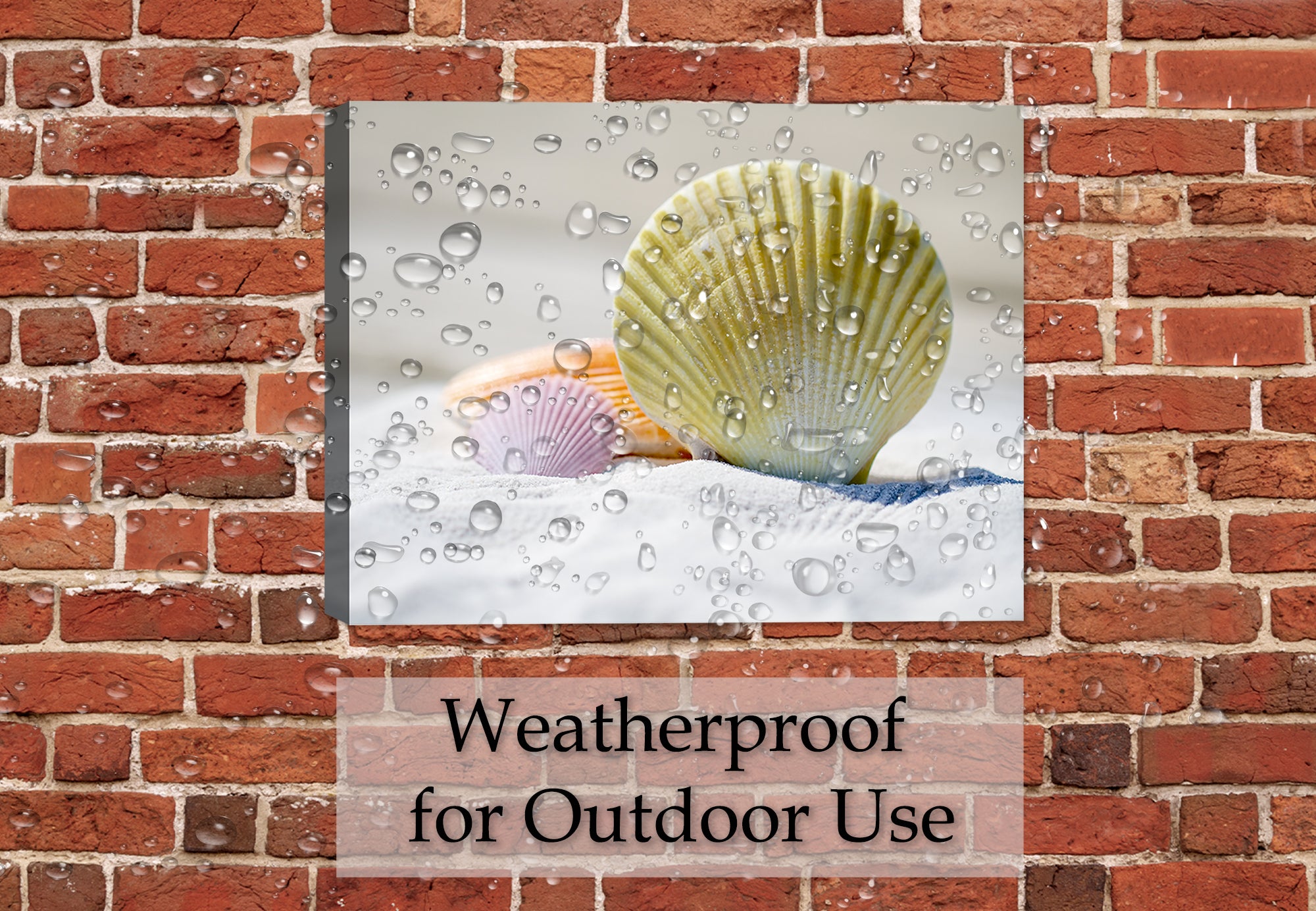 Image of Seashells sitting on sugar white sane.  Printed on waterproof canvas.  Hung on Brick Patio Wall in the Rain.