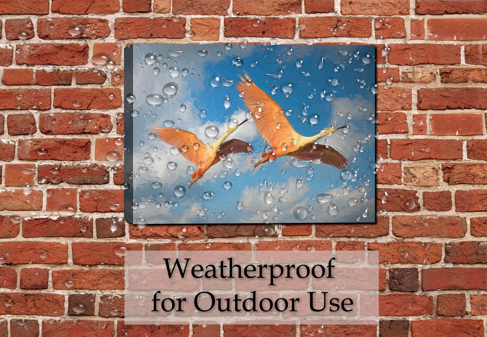 Painting of Spoonbills in Flight - Printed on Canvas - Hanging on Outdoor Patio Wall in the Rain.