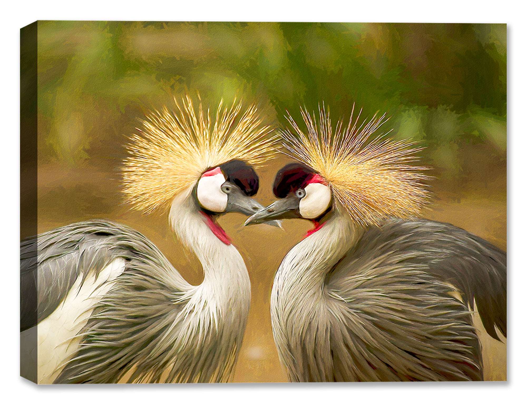 Avian Love Image on Canvas