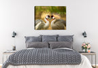 Avian Love Image on Canvas Hanging on Bedroom room wall