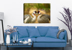 Avian Love Image on Canvas Hanging on Living room wall