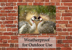 Avian Love Image on Canvas Hanging on brick patio wall - outdoor waterproof canvas