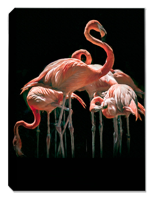 Flamingo Heaven Painting - Canvas Art