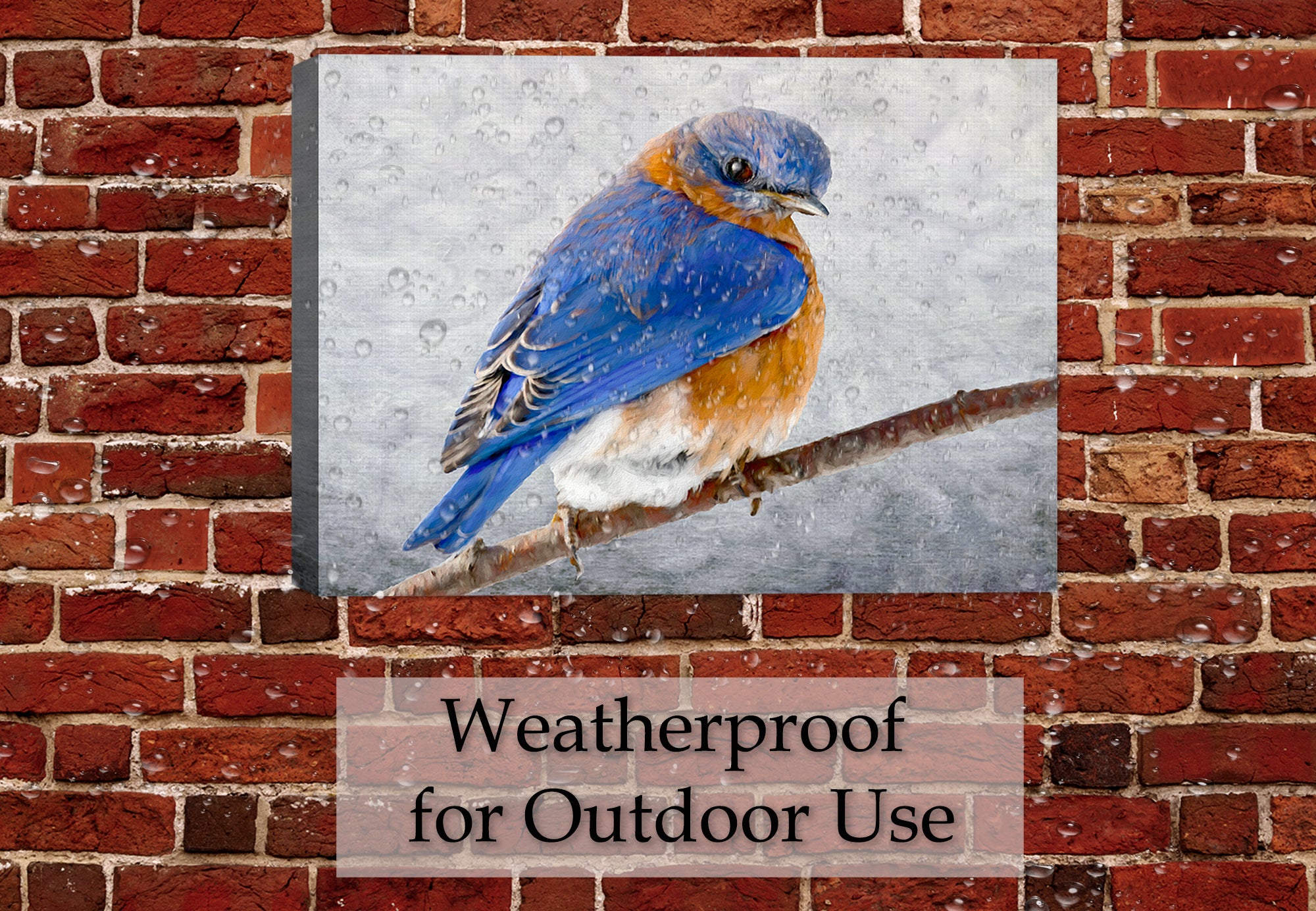 Painting of a bluebird on a branch by Carol Decker, printed on a canvas wrap hanging on a brick wall on the patio.