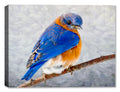Painting of a bluebird on a branch by Carol Decker, printed on a canvas wrap