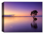 Image of a lone tree in the middle of a purplish colored water and sky.  Printed on Canvas.