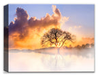 Tree in Fog - Fine Art Photography on Canvas