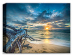 Photo of a large driftwood on the beach with a a sunset - printed on Canvas