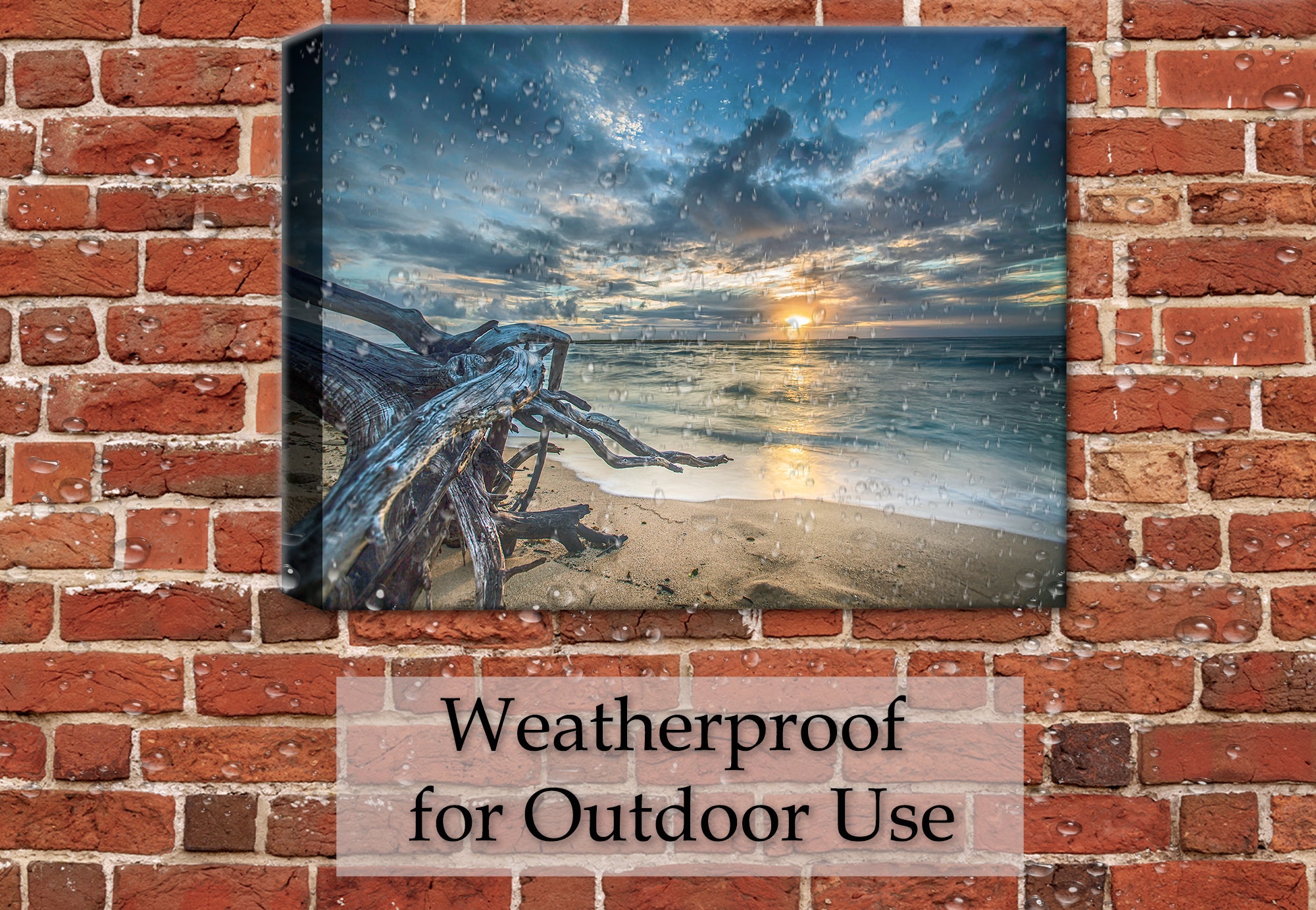 Photo of a large driftwood on the beach with a sunset - printed on Canvas - Hanging on Brick Patio Wall - Waterproof for outdoor use