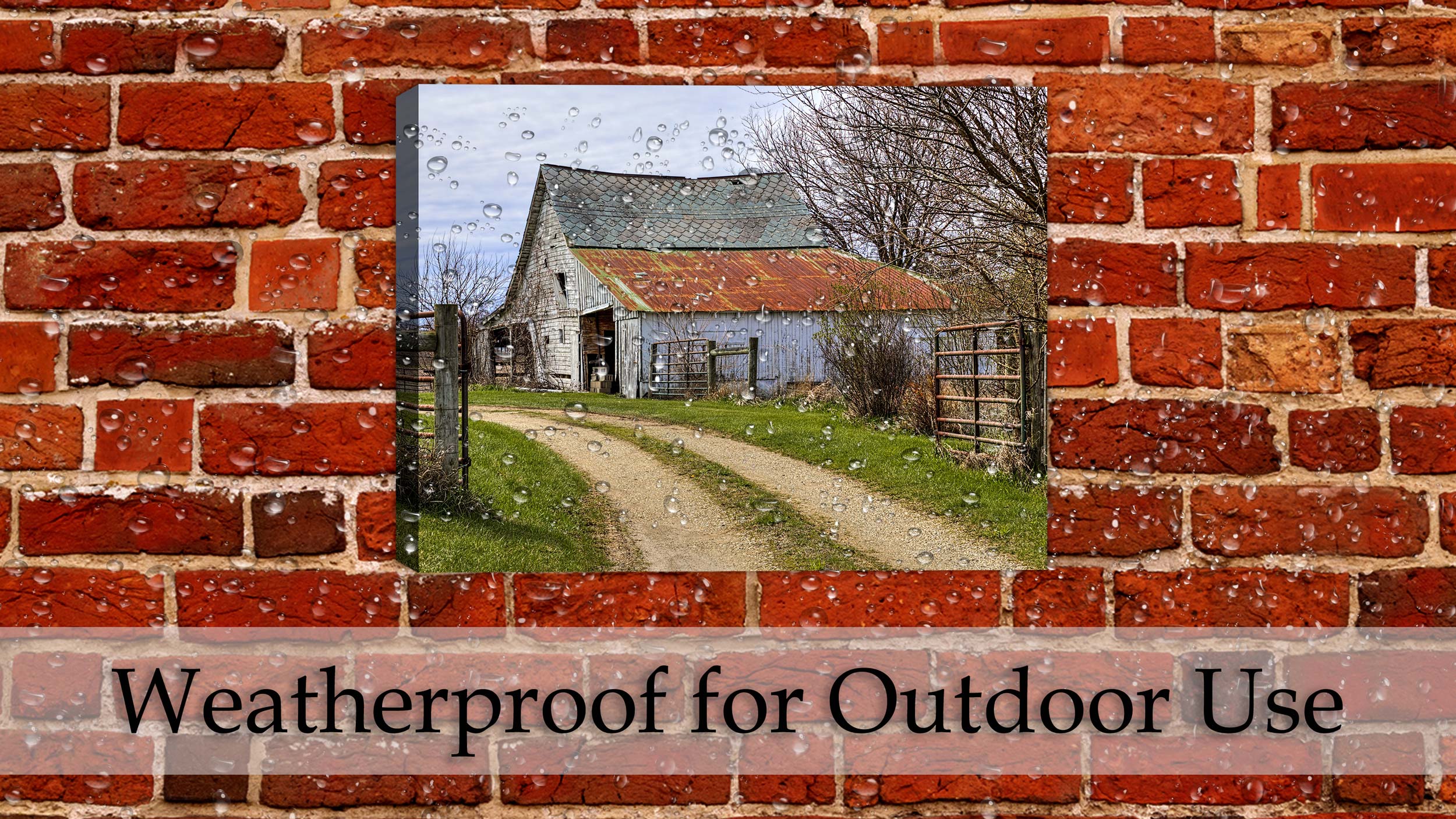 Barn on Canvas Hanging on Patio Wall