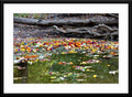 #62 - Fine Art Photography - of a River Covered with Flowers. 