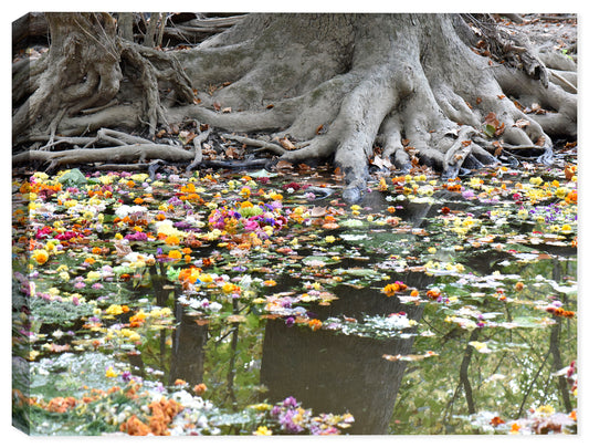 Photo of flowers on River - Remembrance