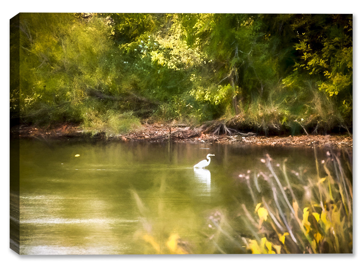 White Egret on Summer Day - Printed on Waterproof Canvas