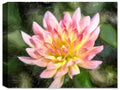 Dahlia #1  - Ink on Fine Art Canvas - Canvas Art Plus
