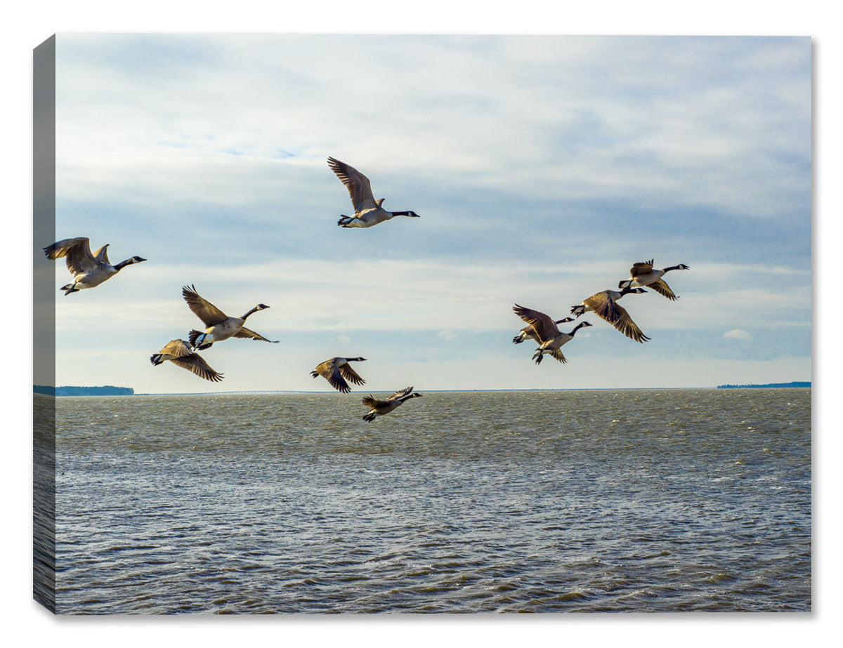 Flying Geese on the Ocean - Canvas Art Plus