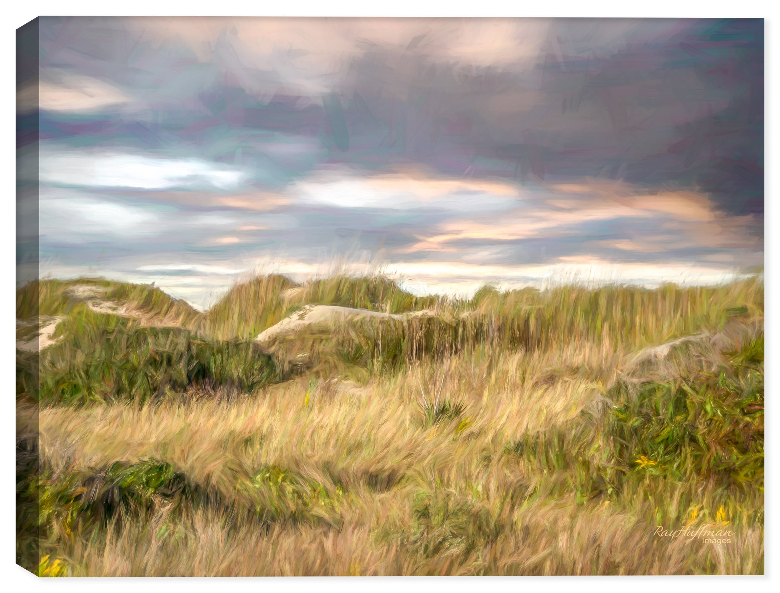 Atlantic Coast view of the Grasses just beyond the beach and Ocean with Storm Clouds looming.  Printed on Canvas.