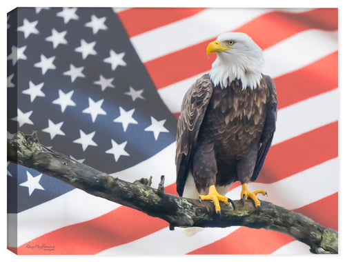 Photograph of an American Bald Eagle with the American flag in the background, printed on a canvas wrap.