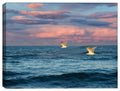 Fine Art Image of Seagulls Flying over the Atlantic Ocean.  Printed on Canvas.