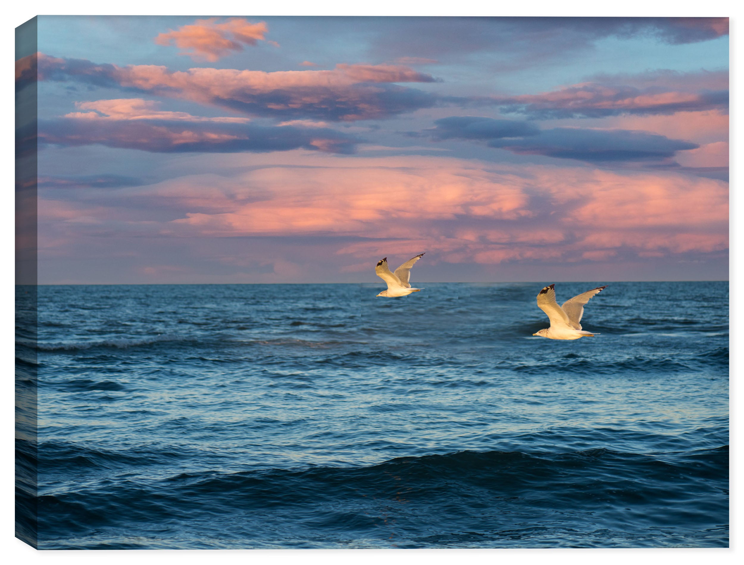 Fine Art Image of Seagulls Flying over the Atlantic Ocean.  Printed on Canvas.