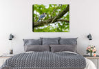 Photograph of a Blue Jay bird on a branch  printed on a canvas wrap hanging on a wall in the bedroom.