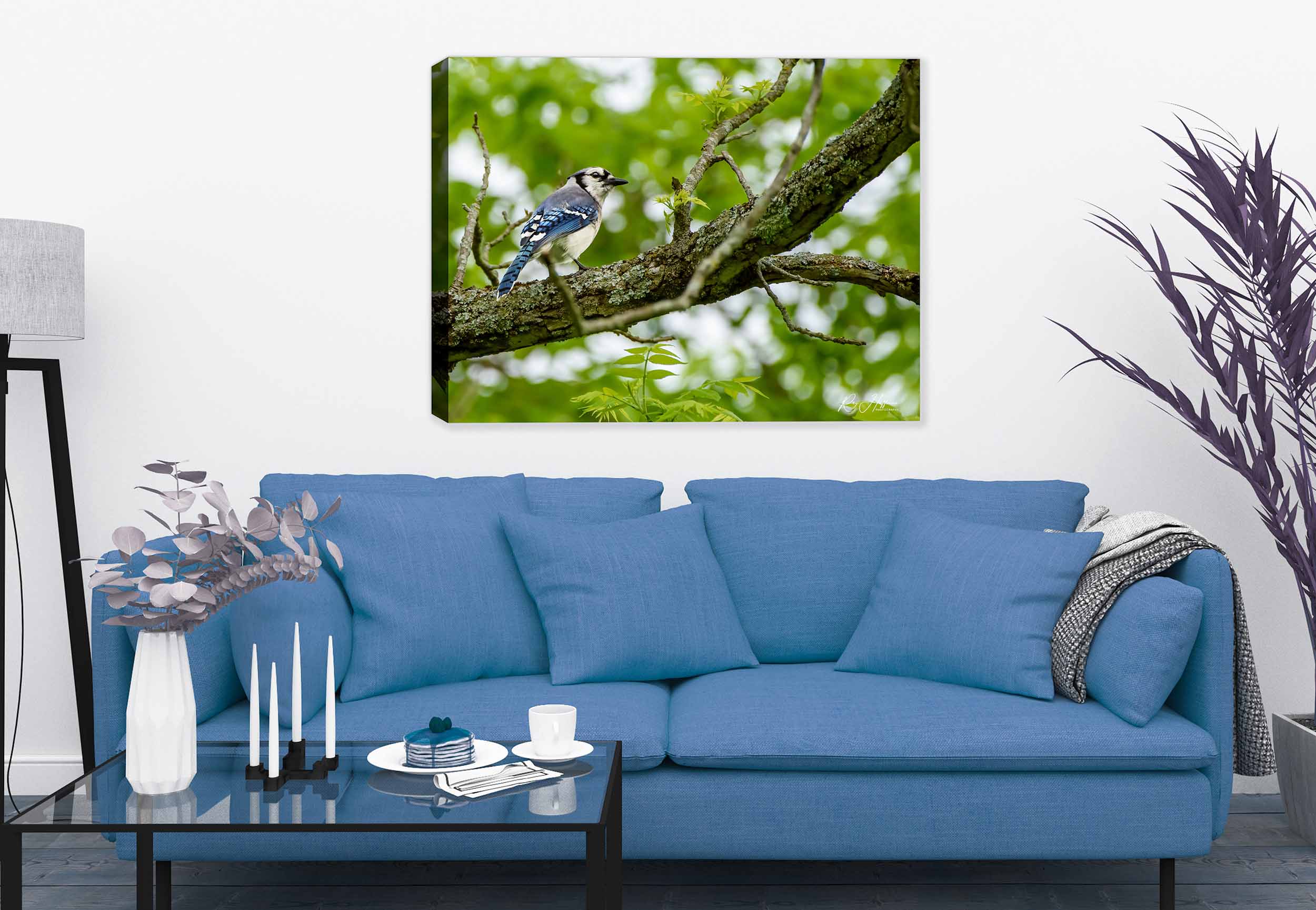 Photograph of a Blue Jay bird on a branch  printed on a canvas wrap hanging on a wall in the living room.