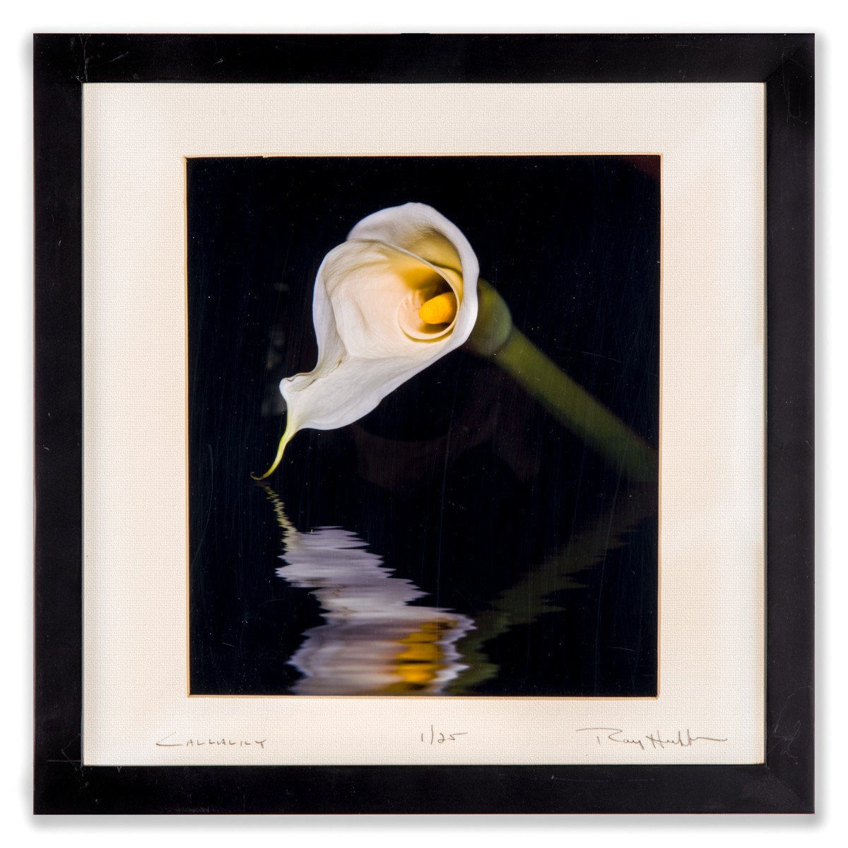 Calla Lily on Water - Photography by Ray Huffman - Framed Art - 1
