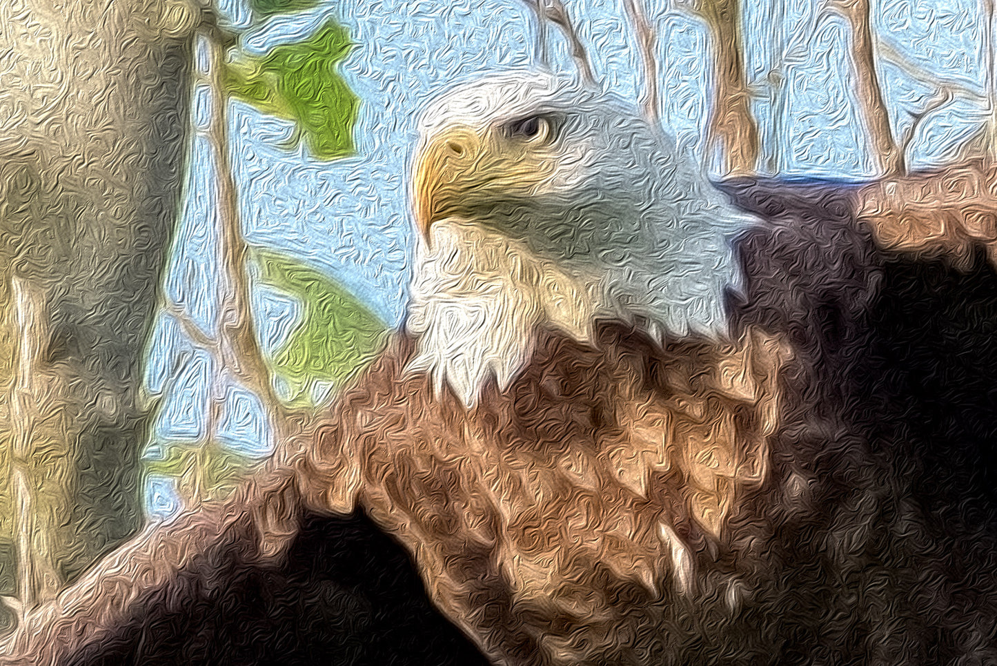 Eagle in Flight - Painting on Canvas by Ray Huffman