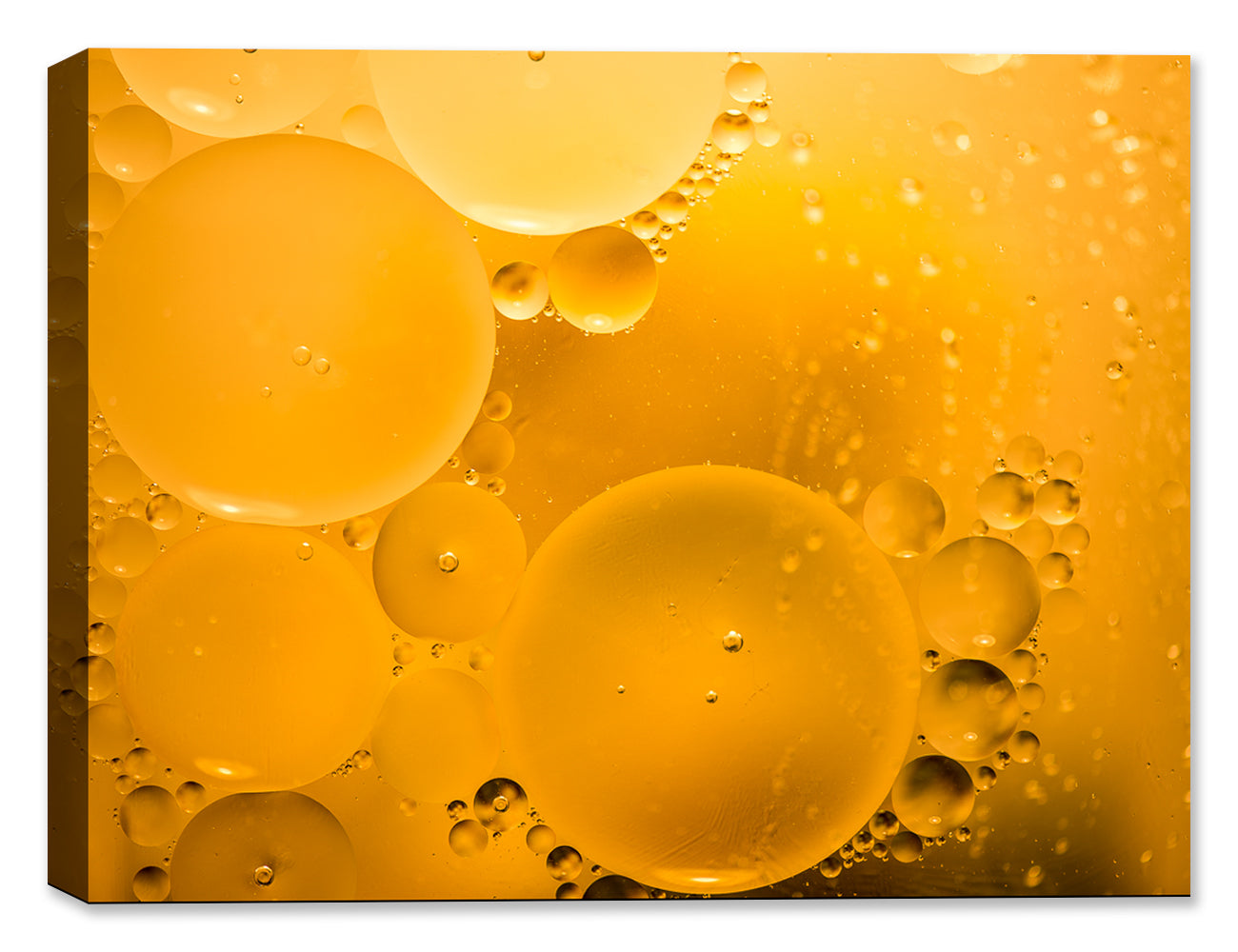 Bubbles #1 on Cavnas - Macro Photography