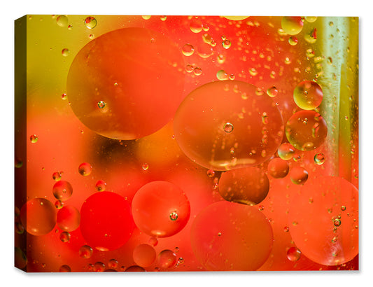 Bubbles No. 5 - Latex on Canvas - Abstract Art