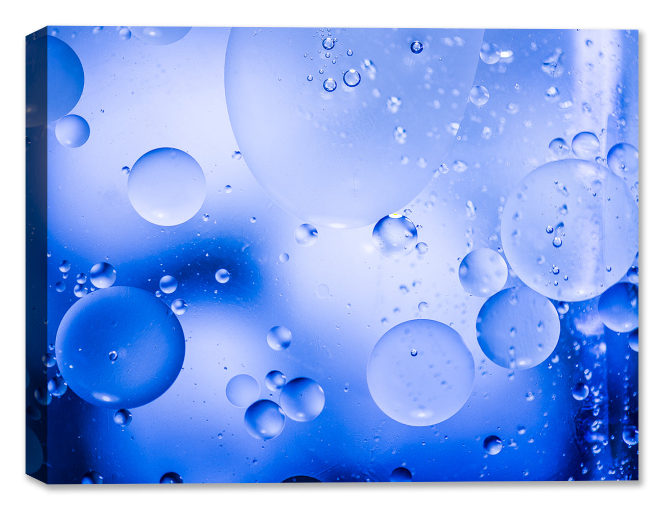 Bubbles No. 11 - Latex on Canvas - Abstract Art