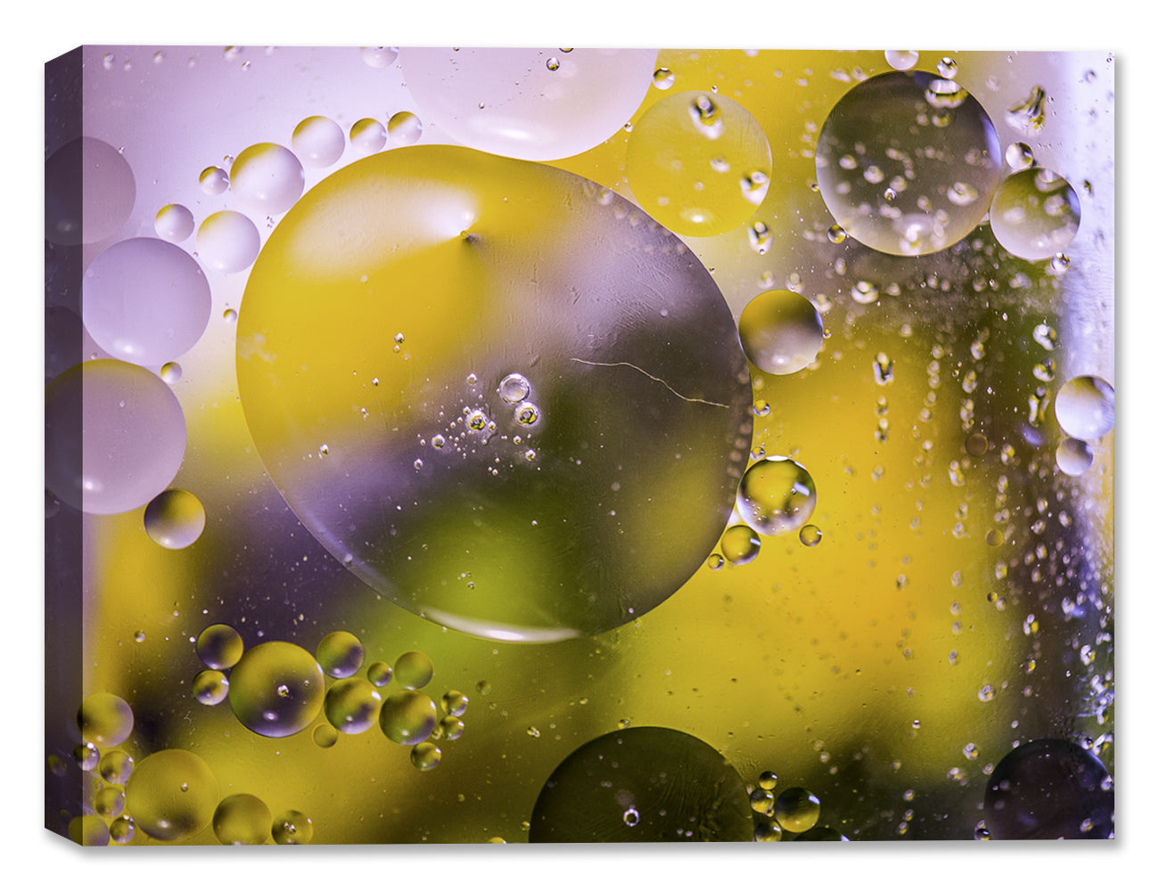 Bubbles No. 12 - Latex on Canvas - Abstract Art