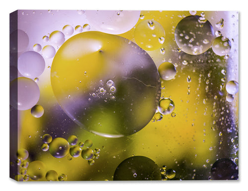 Bubbles No. 12"- a stunning macro photography piece on Canvas