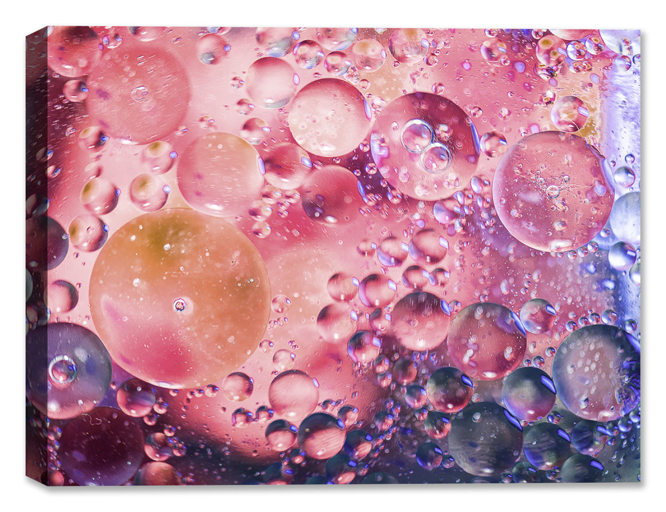 Bubbles No. 23 - Latex on Canvas - Abstract Art