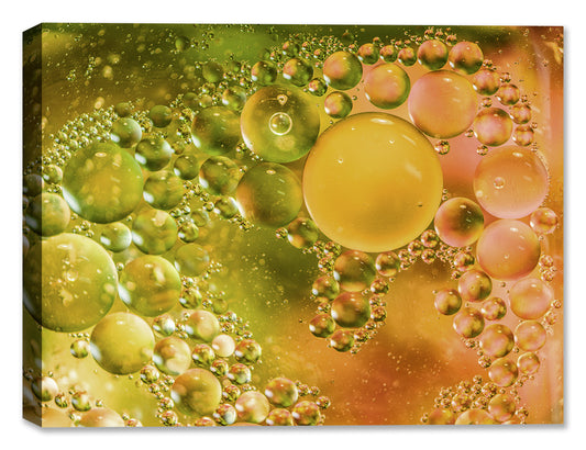 Bubbles No. 25 - Latex on Canvas - Abstract Art