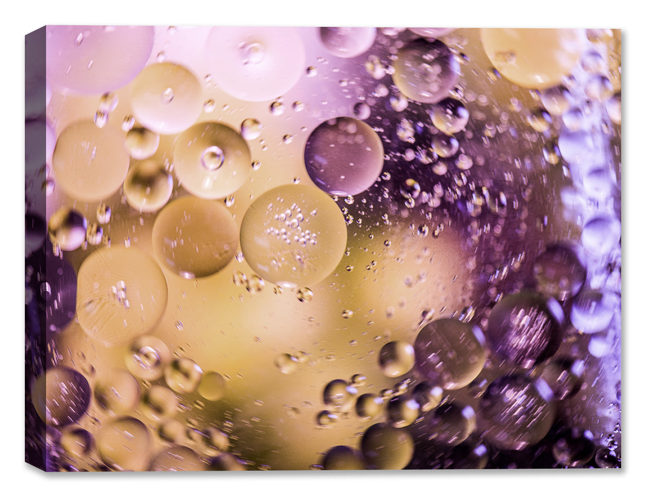 Bubbles No. 31 - Latex on Canvas - Abstract Art